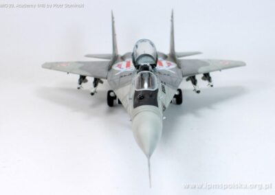 PS_MiG29 (17)