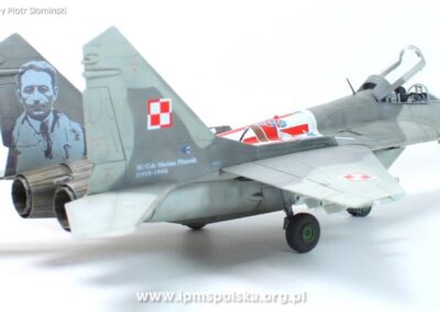 PS_MiG29 (6)