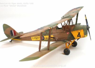 PS_DHTigerMoth_11