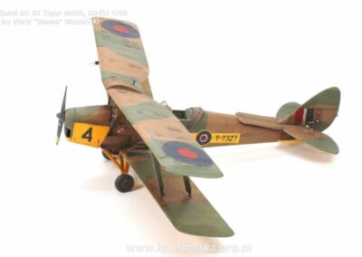 PS_DHTigerMoth_3