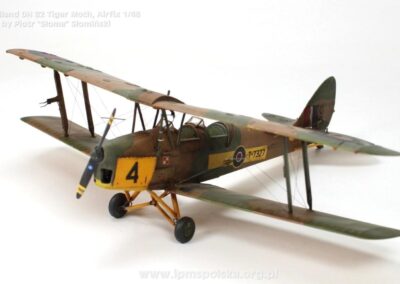 PS_DHTigerMoth_4