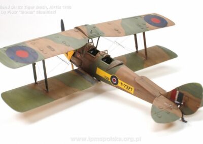 PS_DHTigerMoth_6