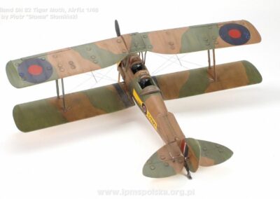 PS_DHTigerMoth_7