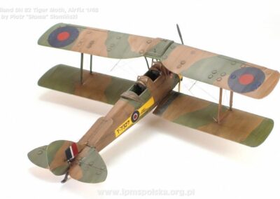 PS_DHTigerMoth_8